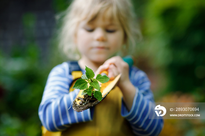 可爱的蹒跚学步的小女孩手里拿着绿色植物幼苗的花园铲。可爱的孩子l