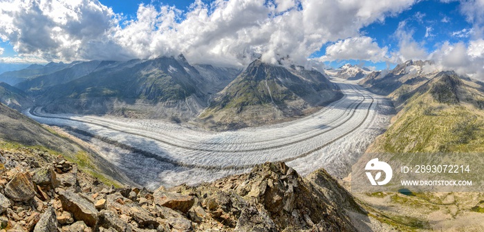 Fantastische Aussicht vom Eggishorn richtung Aletschgletscher + Eiger Mönch und Jungfrau, Aletsch Ar