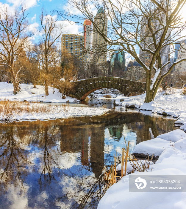 Central Park in winter after the snow storm
