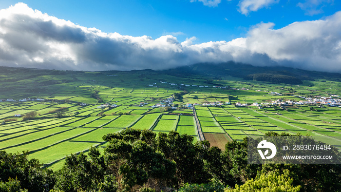 亚速尔群岛Terceira岛农田的高对比度背光