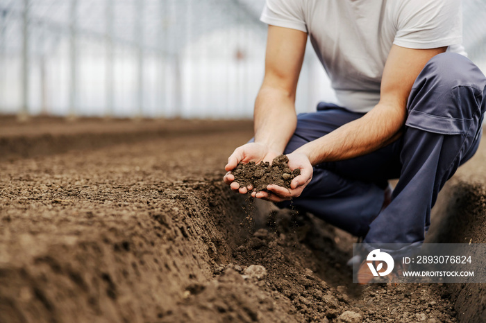 Close up of agriculturist holding soil in hands and controlling it.