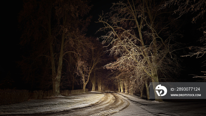 Illuminated snow-covered S shape rural road through the tall trees at night, Germany. Scary forest s