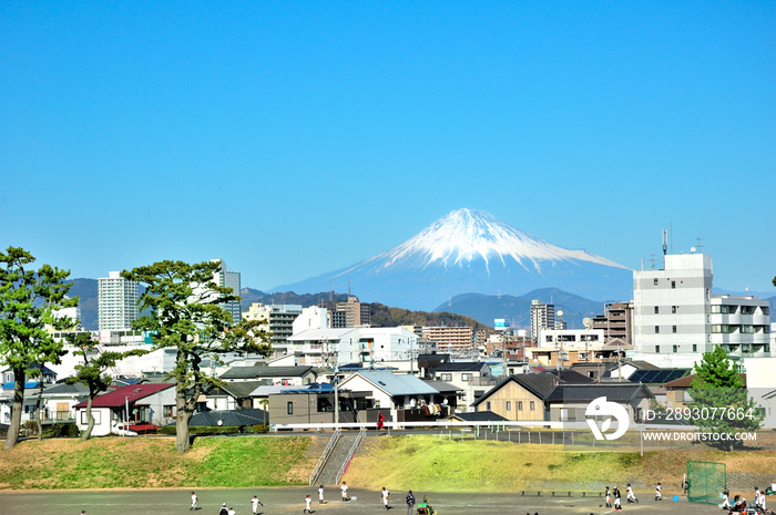 富士山と静岡市