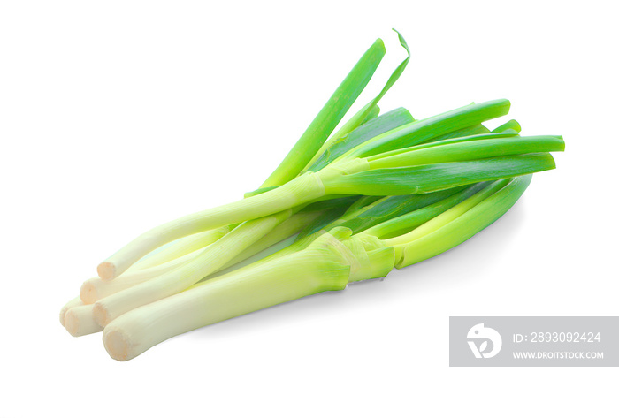 resh scallion isolated on white background