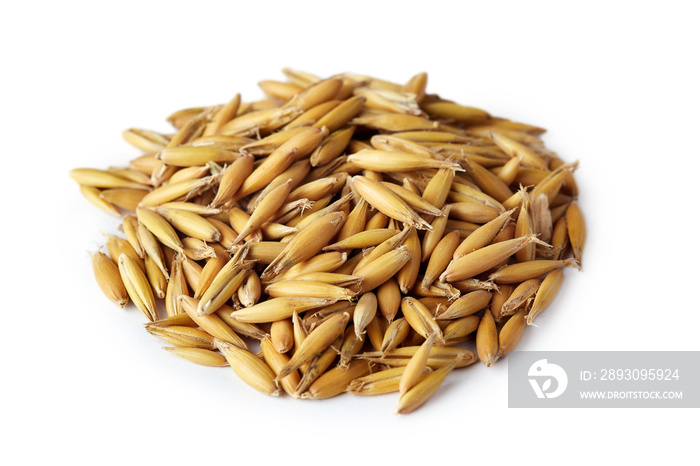 Oat seeds (Avena sativa) also known as the common oat isolated on white background