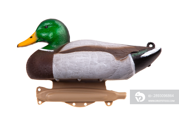 Mallard Duck Decoy isolated on white