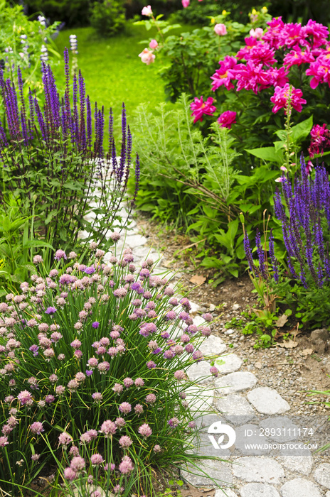 Lush blooming summer garden with paved path