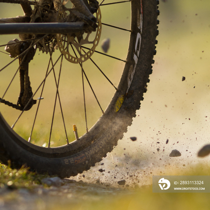 Mountainbiker auf einem Feldweg