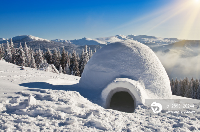 雪屋