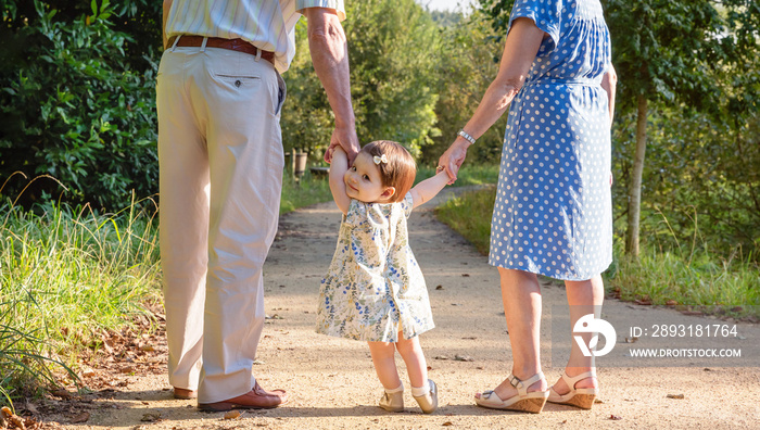 Baby granddaughter walking with her grandparents outdoors