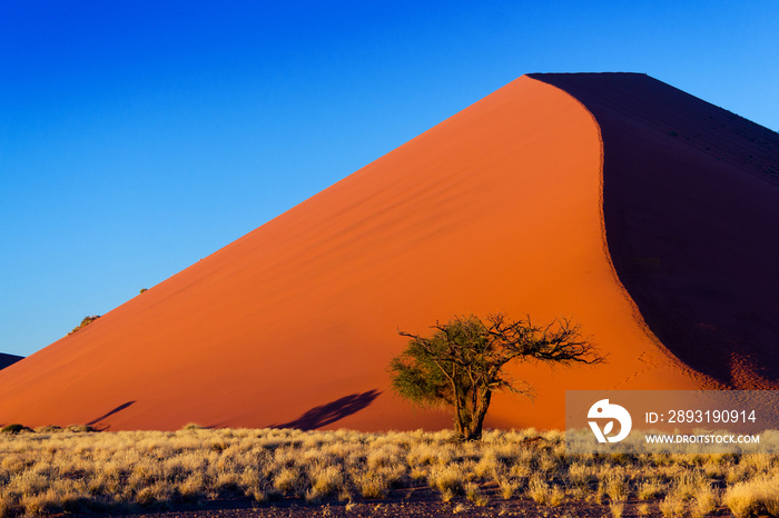 Sunset dunes of Namib desert, Sossusvlei, Namibia, Africa