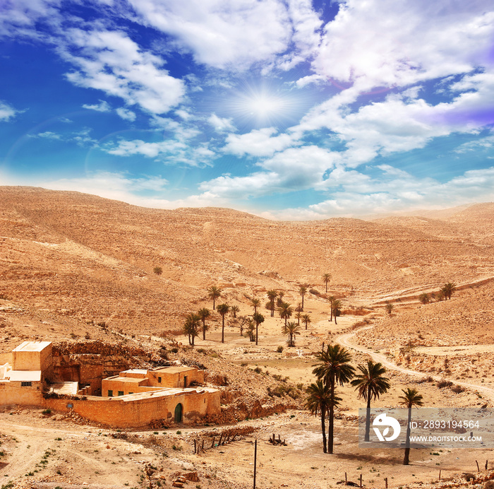 撒哈拉：沙漠中的村庄