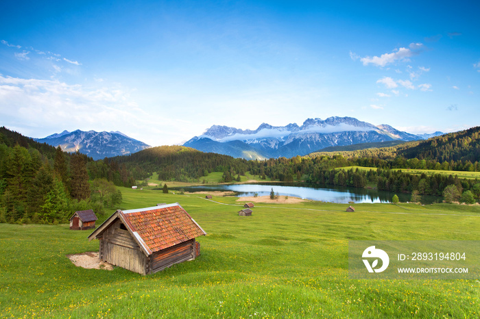 Almwiese am Karwendel mit Blick zum看