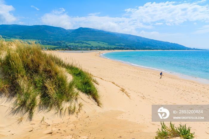 View of Paloma beach from sand dune, Costa de la Luz, Spain