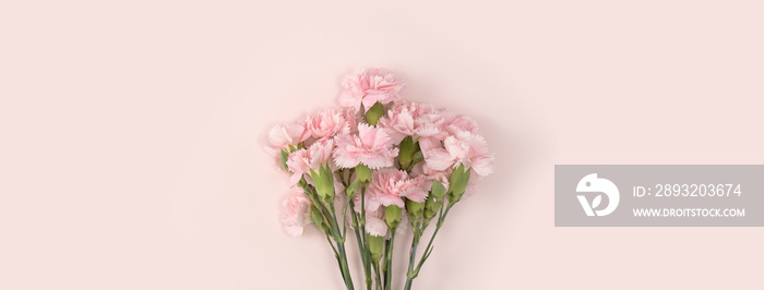 Design concept of Mothers day holiday greeting with carnation bouquet on pink table background
