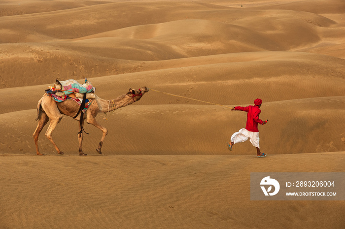 Man with camel walking across sand dunes in Jaisalmer, Rajasthan, India.