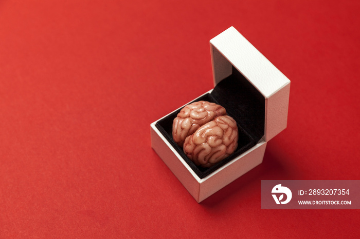 盒子里的聪明人脑被隔离在红色背景上，作为送给愚蠢的人的礼物。心理发展，s