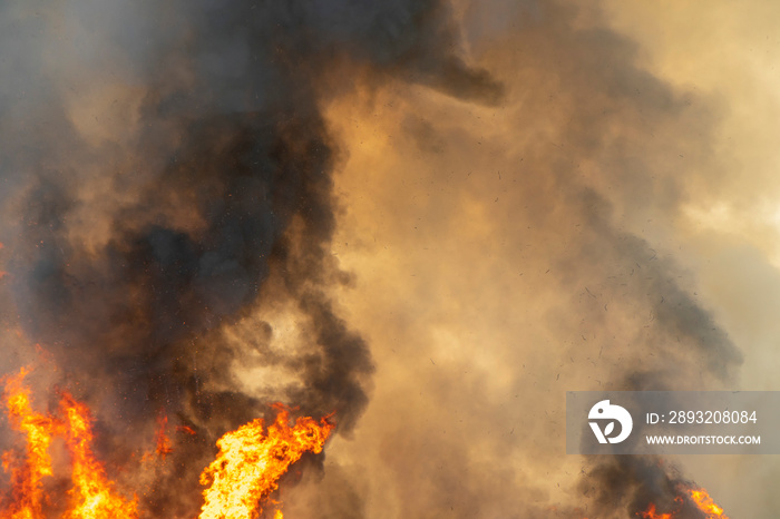 raging dust smoke pattern background of fire burn in grass fields, forests and black