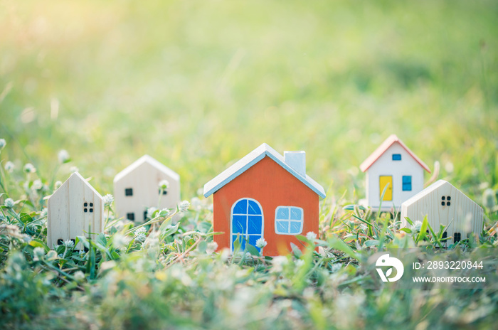 House model  in green field.