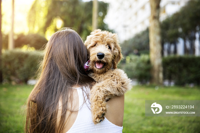 背着米色贵宾犬的女人的后视图