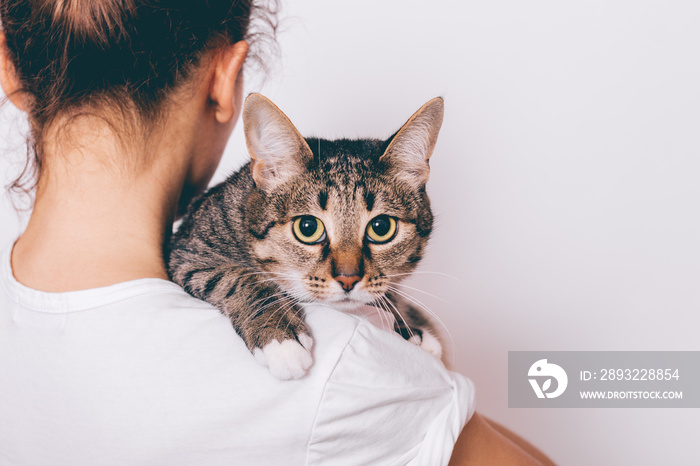 年轻女子抱着她的条纹猫