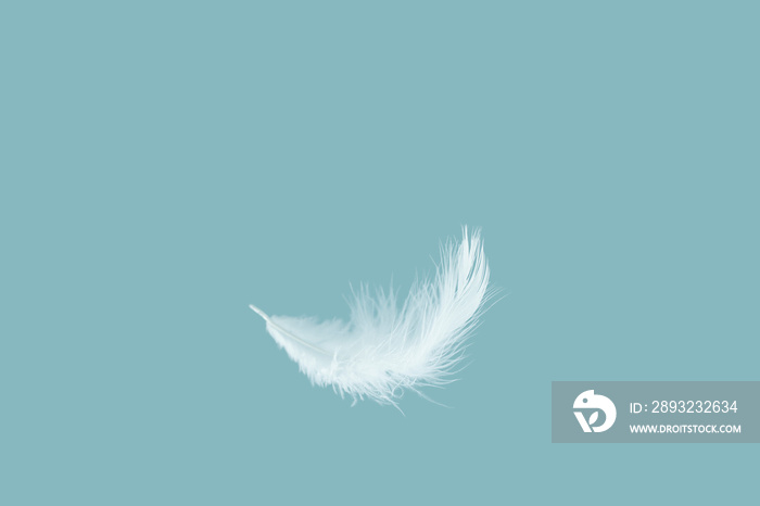 Soft white feather falling down in the air