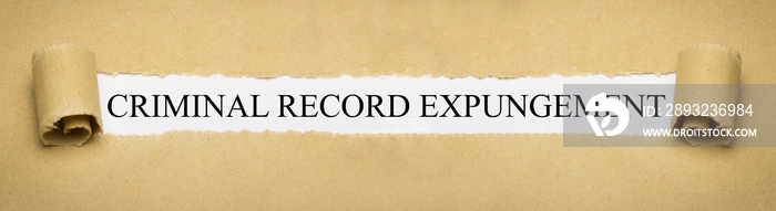 Criminal Record Expungement