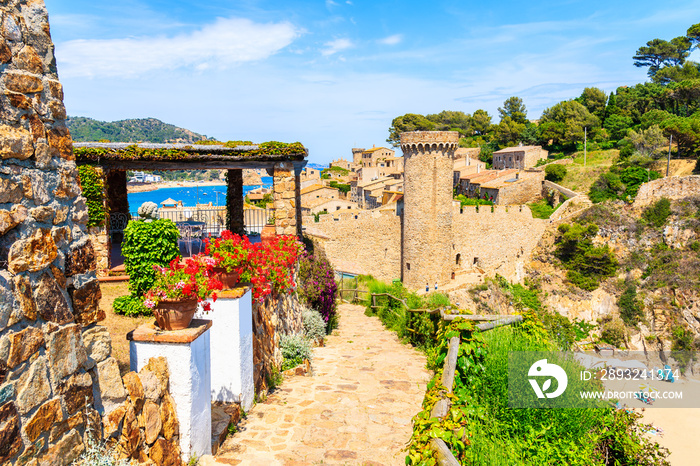 Flowers on coastal path in Tossa de Mar and view of castle with old town, Costa Brava, Spain