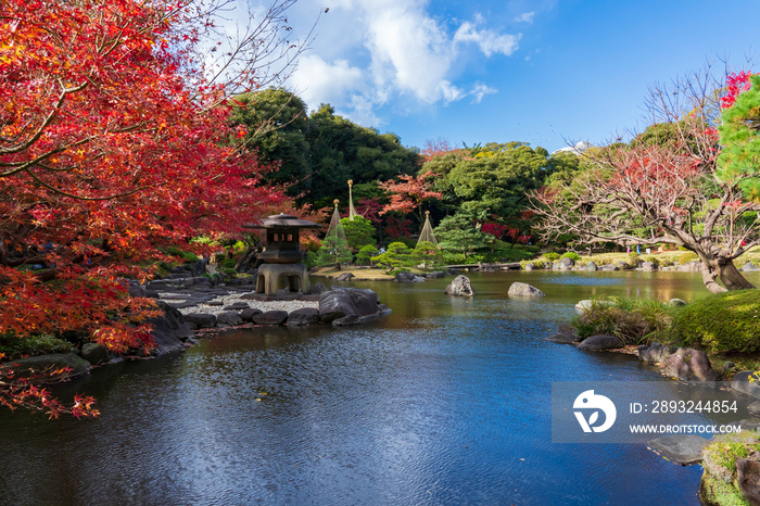 【東京都】旧古河庭園 紅葉の日本庭園