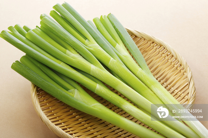 長葱　Green Onion