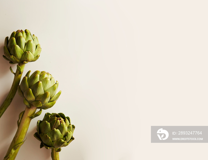 fresh artichokes