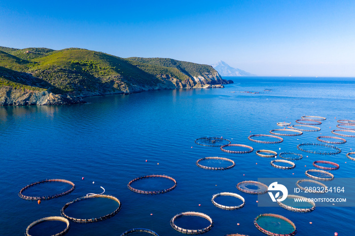 Dorado fishing farm in Greece aerial photography. Aquaculture production.