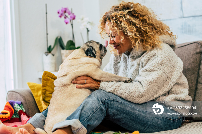 Playful happy activity at home with human woman people and funny pug dog kissing them on the sofa - 