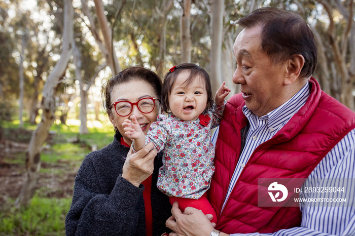 Grandparents carrying cute happy granddaughter while standing against trees in park