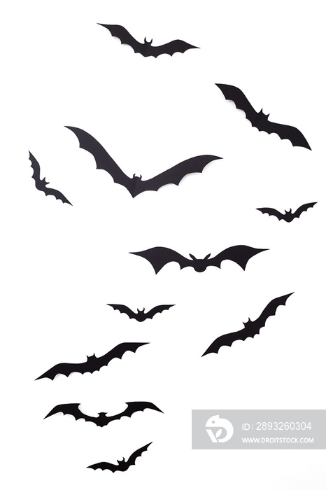 蝙蝠纸装饰万圣节