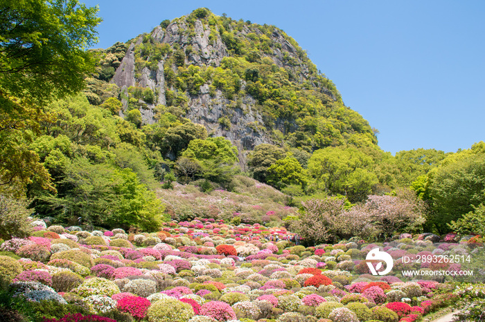 御船山楽園