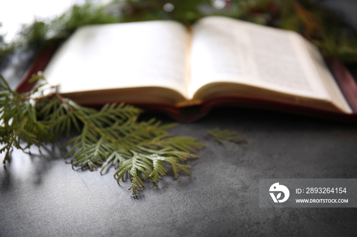Blurred open Bible and coniferous branches on grey table