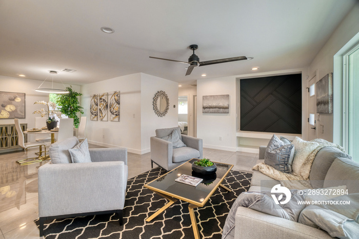 Black and white themed living room