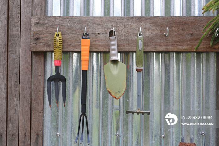 Gardening tools hang on zinc wall background - fork and shovel