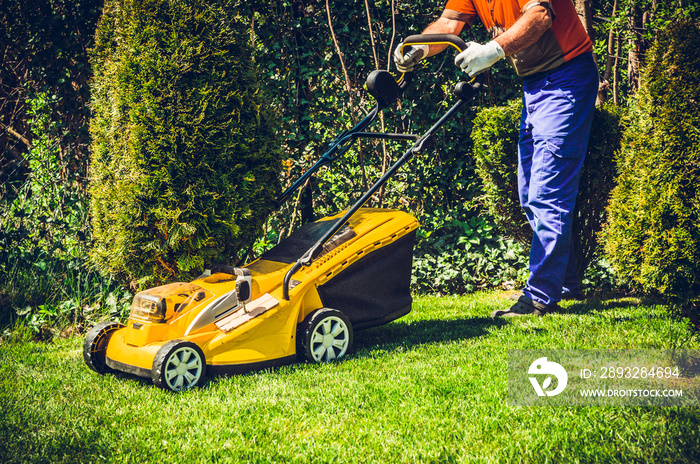 Mowing the grass. A man mows the grass with an electric mower. The concept of working in the garden 