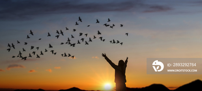女孩在日落时举起手，鸟儿在天空中飞翔。