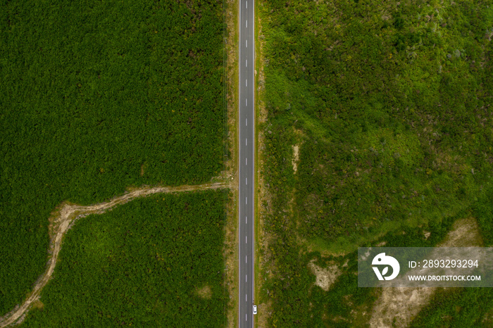 Empty country road, top down aerial view