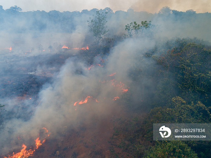 Incêndio na Floresta / Queimadas vista com Drone