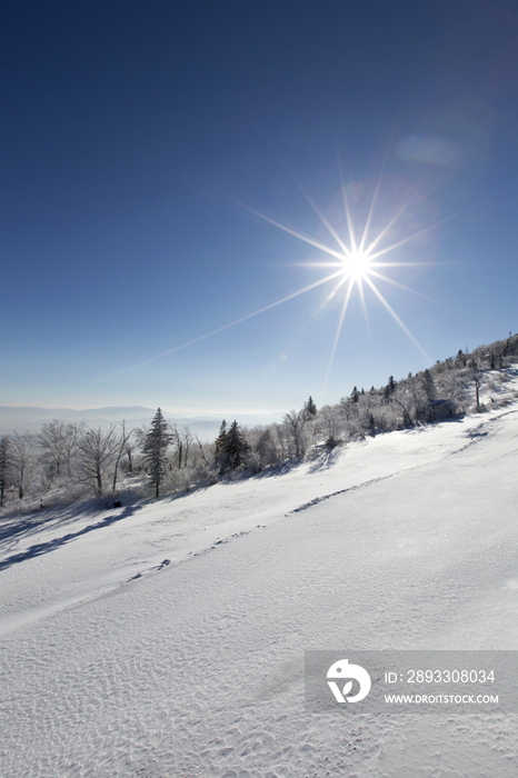 阳光雪景