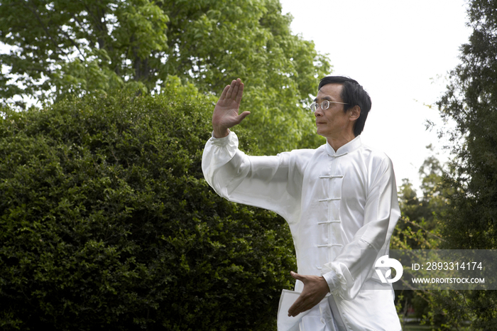 老年男子在公园里打太极