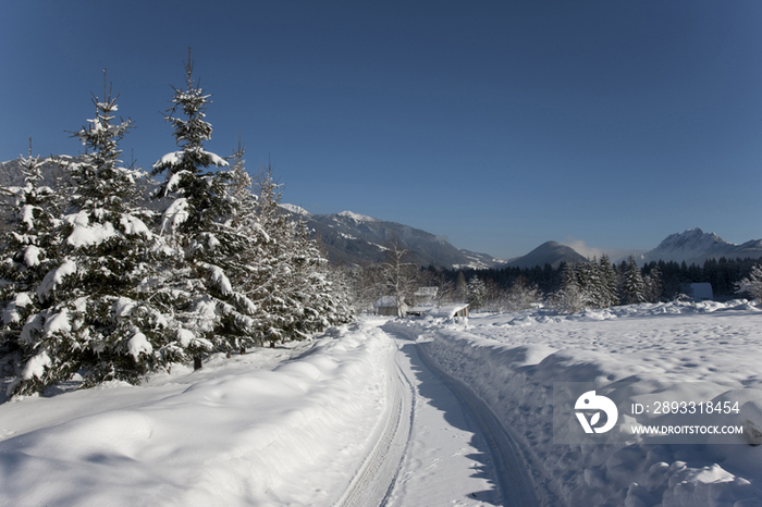 Italy, Piedmont, Val Vigezzo, Ski Slope