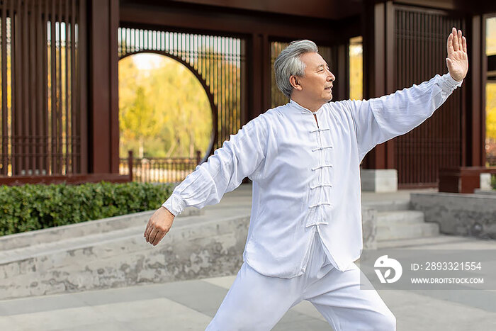 老年男子在公园练太极