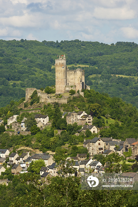 Chateau de Najac,France