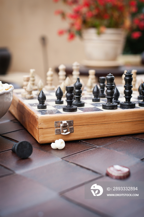Close-up of cropped chess game against blurred potted plant; Rancho Sante Fe; USA