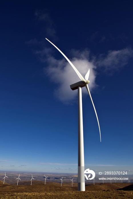 Wind Turbine